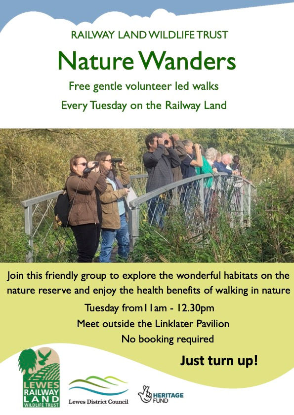 Nature Wanders at the Railway Land