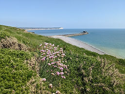 castle hill from cliff top June 2024 landscape.jpg