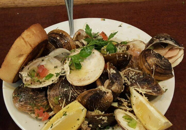Steamer Clams