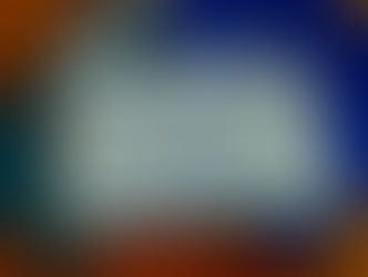 今年も始まりました。