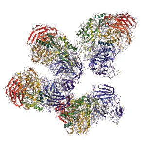MisuDx-6-Enzymes.png