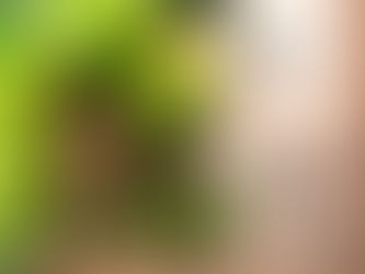 Se désintoxiquer du sucre ?