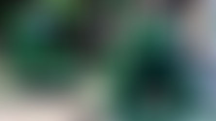 The Frog Is Back: Renault risveglia il lato più giocoso del design