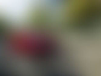 Škoda Fabia Monte Carlo: per chi ama lo stile sportivo