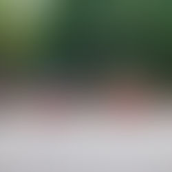 Fiat Topolino Gallo debutta alla Milano Design Week tra stile e colore