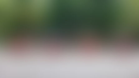 Fiat Topolino Gallo debutta alla Milano Design Week tra stile e colore