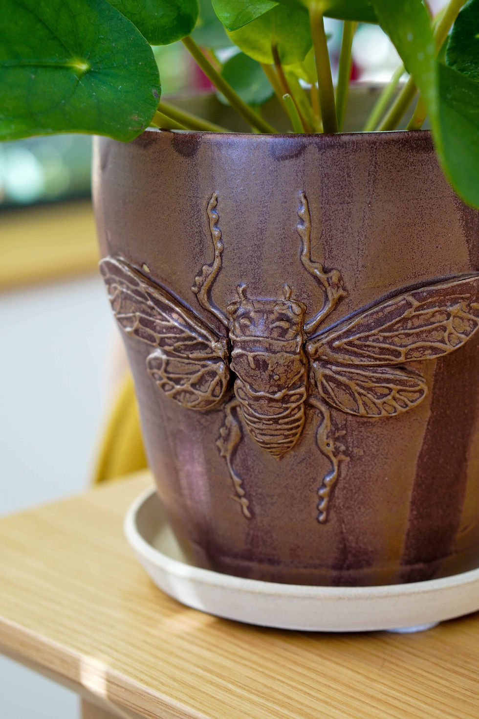 Thumbnail: Cicada flower pot