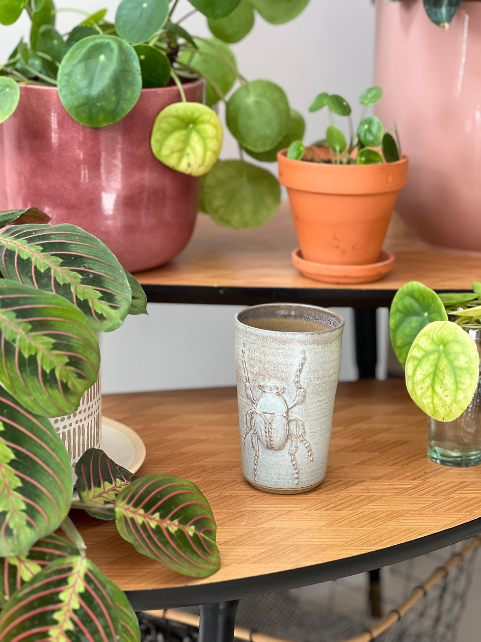 Miniature : Cetoine cup