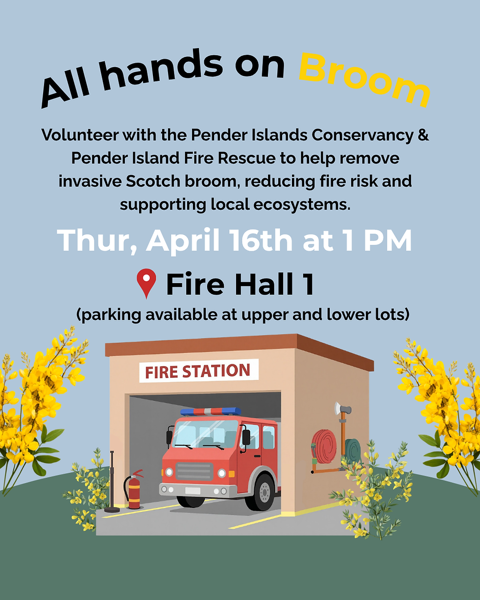Broom Bash at Fire Hall 1