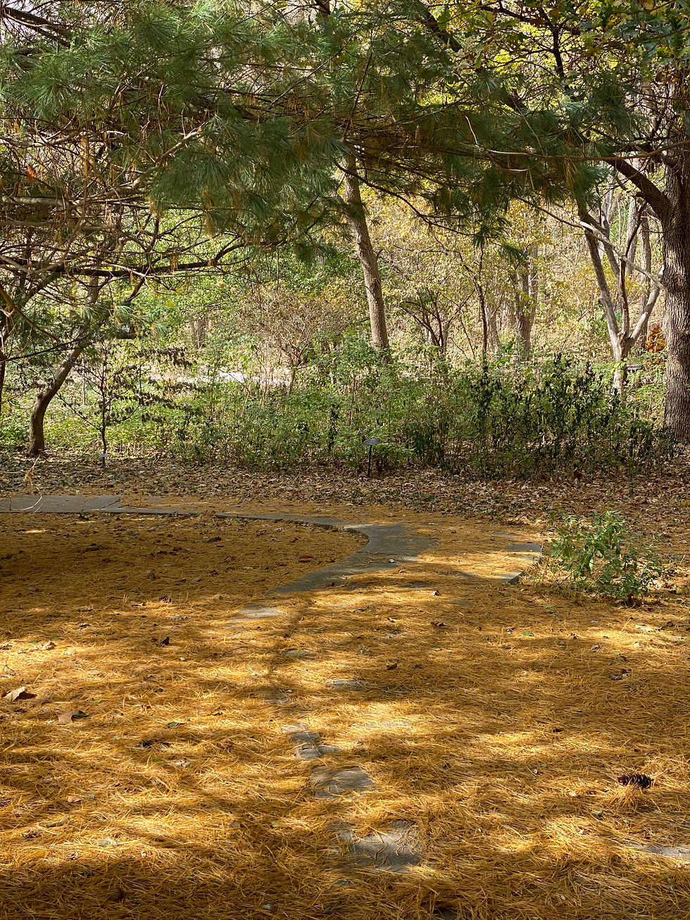 Navigating our leadership path