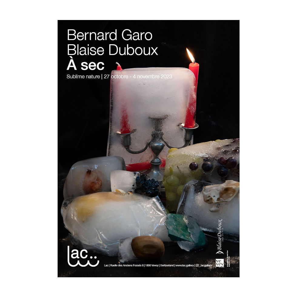 Expo À sec de Bernard Garo et Blaise Duboux, du 27 octobre au 4 novembre 2023
