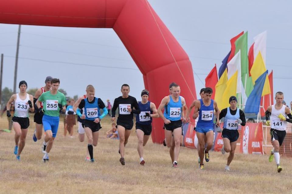 Управление физической культуры и спорта чебоксары. Игорь Лоторев легкая атлетика. Агапов Игорь легкая атлетика. Чемпионат России по кроссу. Кроссы Россия.