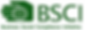 bsci_1-e1652956512294 (2).png