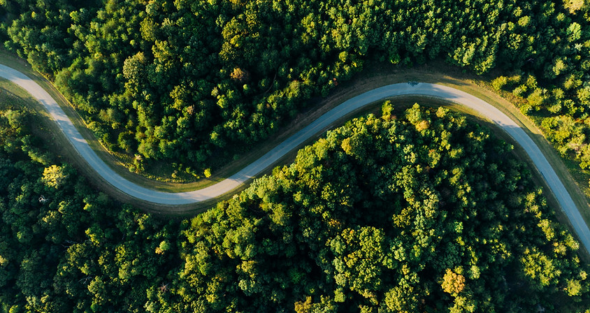 vue aérienne d'un chemin en forêt, symbolisant le chemin à parcourir en thérapie