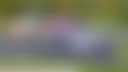 Bildergalerie - 17. / 18. Okt. 2025 - Autodrom Most