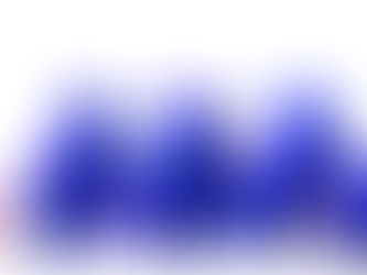 Assemblée générale des membres