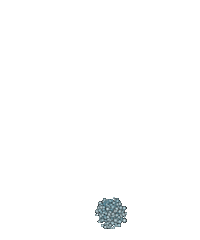 200w.gif