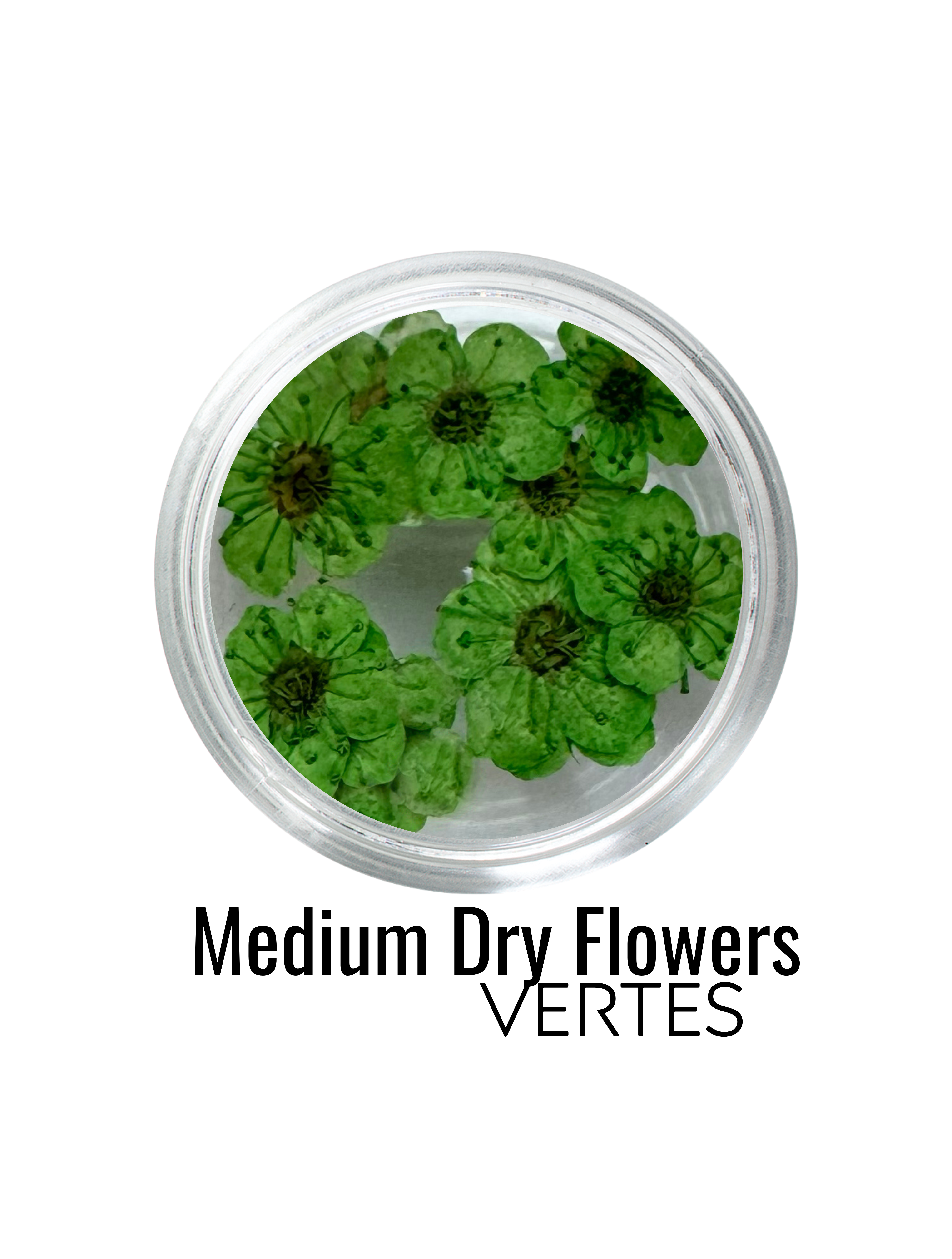 Medium Dry Flowers - Vertes