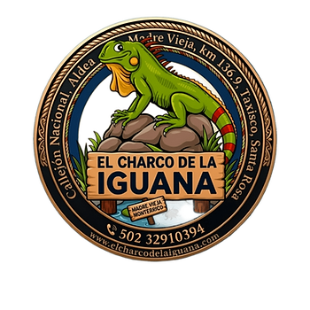 logoafuera.png