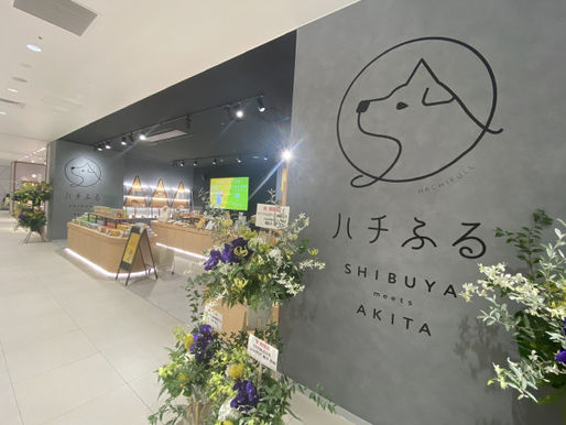 ハチふる🐶 [ 2021/11/03 ]