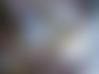 春はすぐそこ🌸 [2021/02/27]