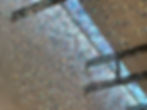 Tropical Wind08