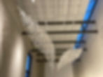 Flapping Birds (2021)