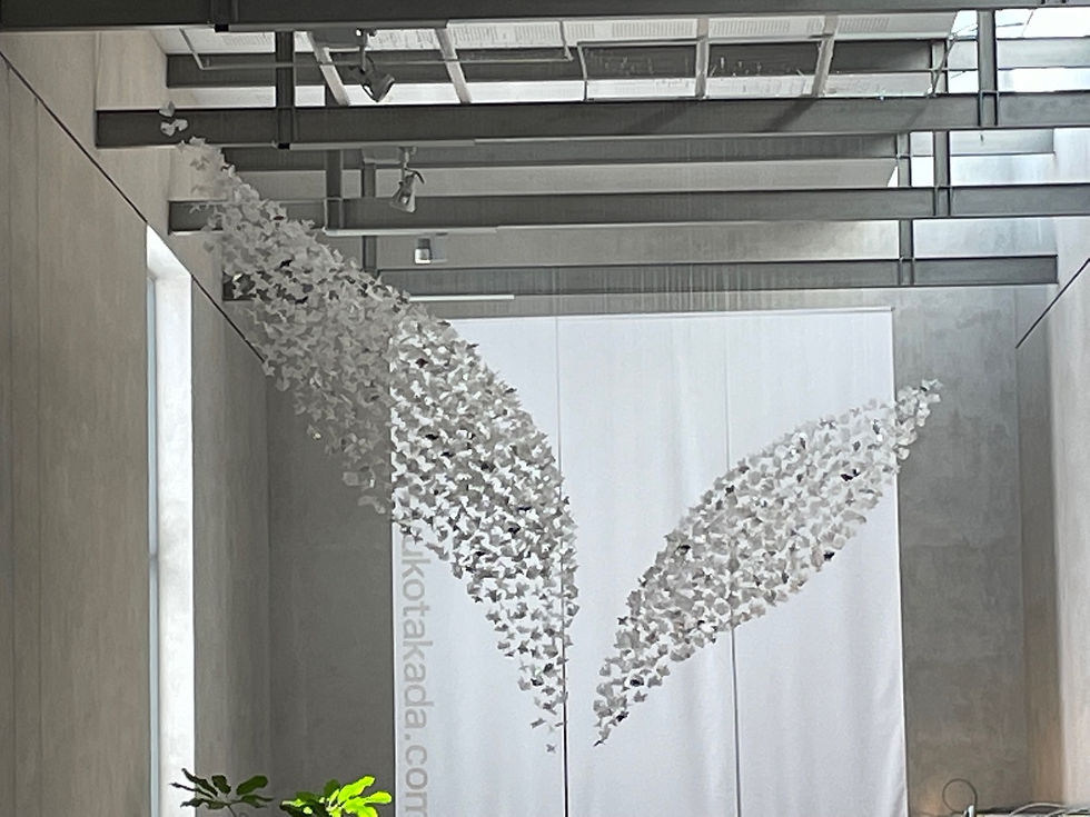 Hope - Flapping Birds