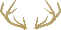 gold_edited.png