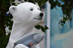 bear15