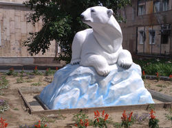 bear22