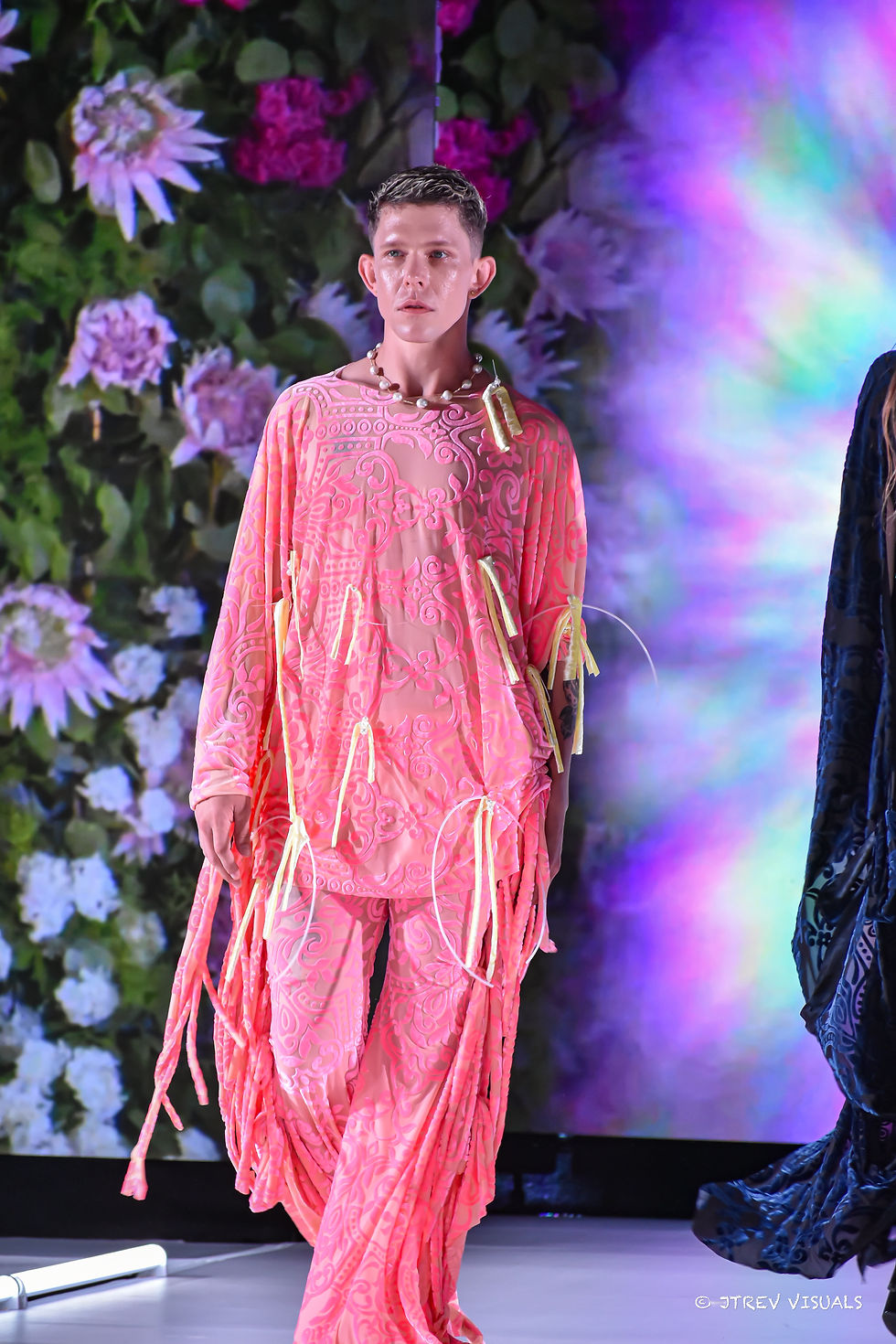 Thumbnail: Rosy Maple Moth Prince