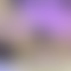 Community Spotlight: The 13th Annual Black & White Affair — Love, Legacy & Healing in Memphis