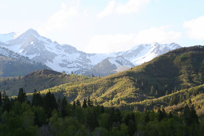 iStock_000000633354_Large.jpg