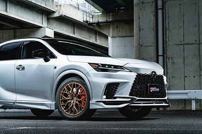 LEXUS-RX_LM51X_image.png
