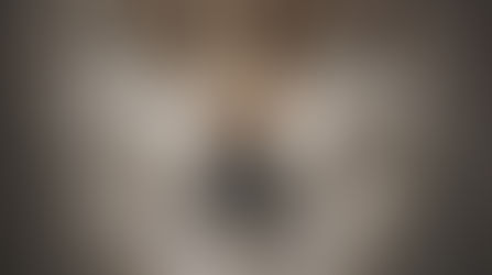 Open atelierroute op 14 en 15 oktober