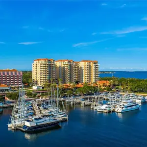 555 5th Ave NE Ste 1214, Saint Petersburg, FL 33701