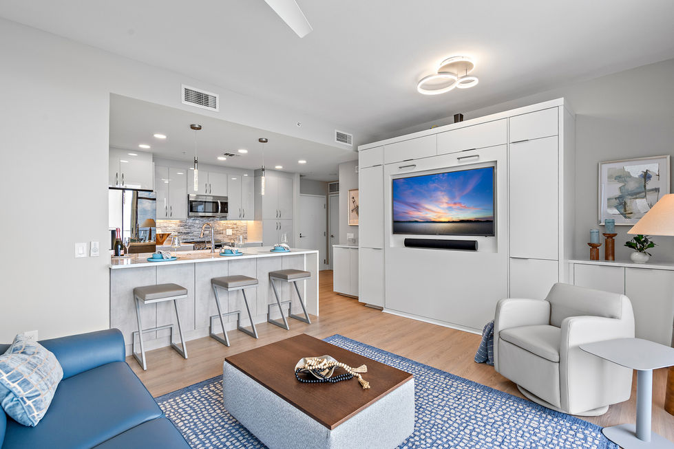 Downtown St. Petesburg, FL4