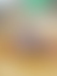 13. Atatürk Kupası Kadın Basketbol Ödülleri