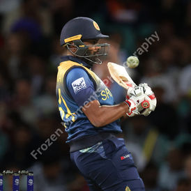 Photo Glenn Nicholls-5197.jpg