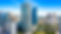 DJI_0442.jpg