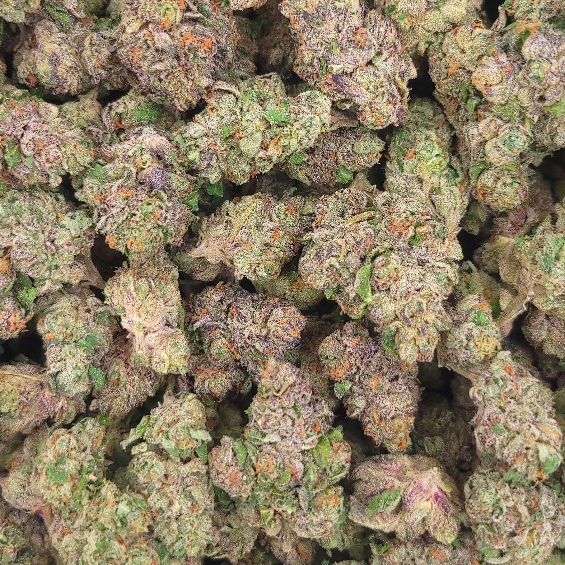 Cherry Runtz High THCA Flower