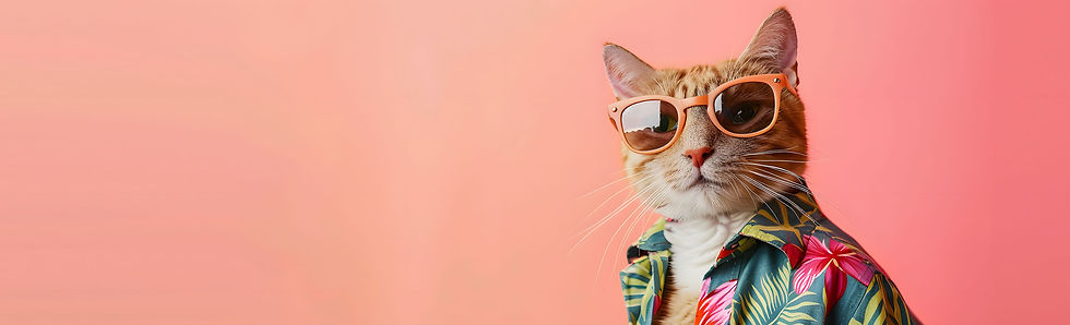 meowie-ganja-banner.jpg