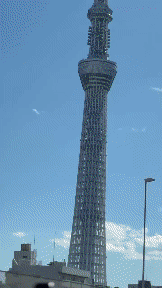 社員旅行.gif