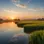 Beyond Cancer: How to Embrace Mindfulness and find Peace
