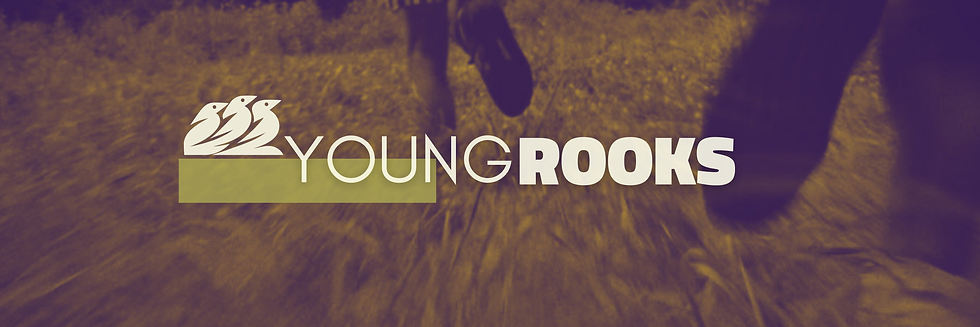 young rooks web header.png
