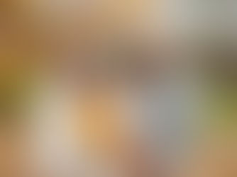 "5 Secrets For a Successful Family Photoshoot"