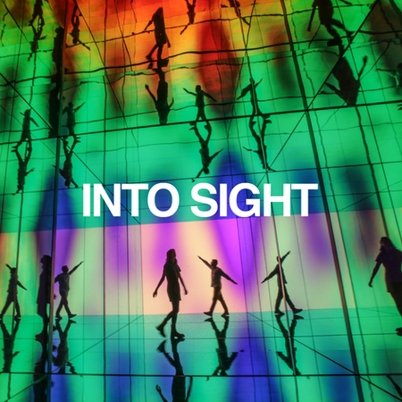 INTO SIGHT 