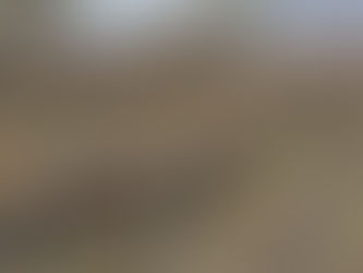 Spring Vineyard Update from Shae