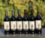 merlot wine bottles